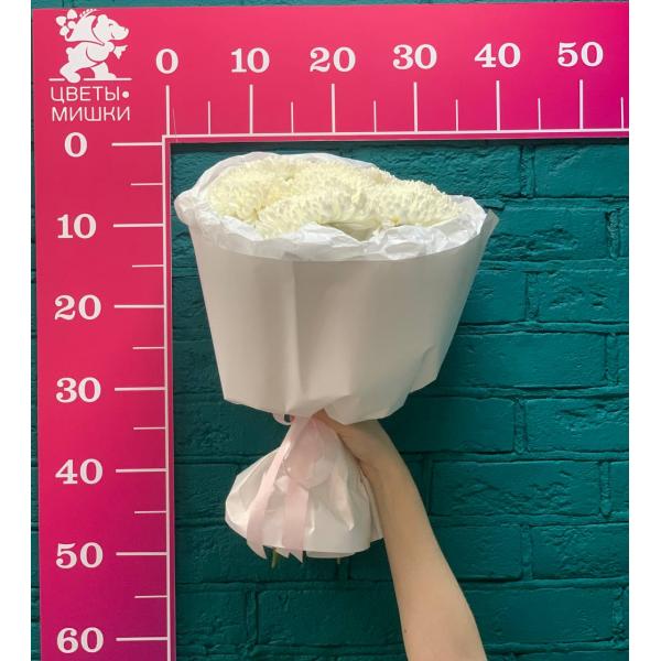 фото 7 белых одноголовых хризантем "Помпон"