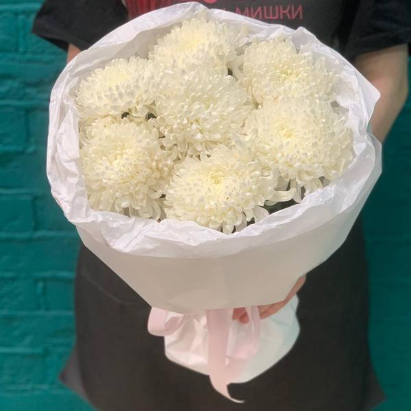 фото 7 белых одноголовых хризантем "Помпон"