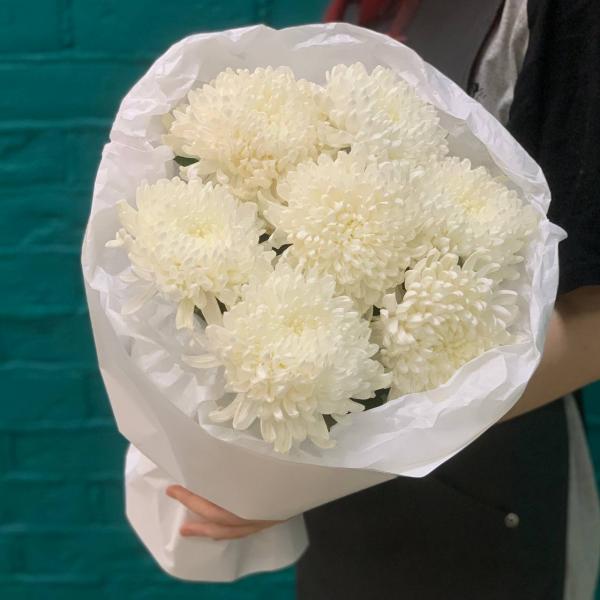 7 белых одноголовых хризантем "Помпон"