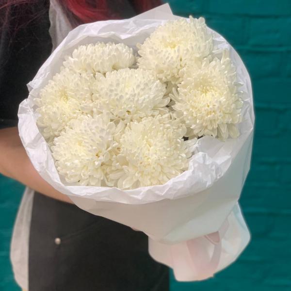 фото 7 белых одноголовых хризантем "Помпон"