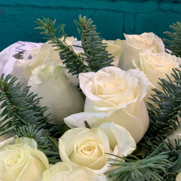 фото Роз и нобилиса "Еловые веточки"