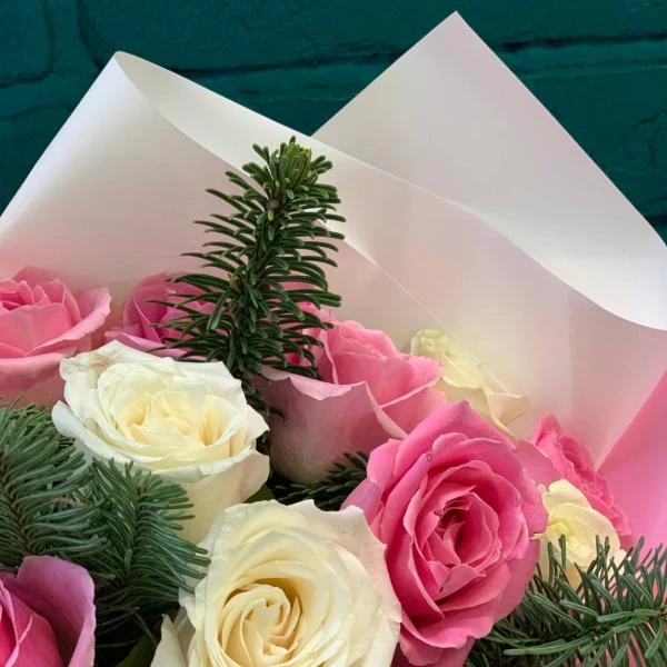 фото Нобилиса и розы "Новогодний перелив"