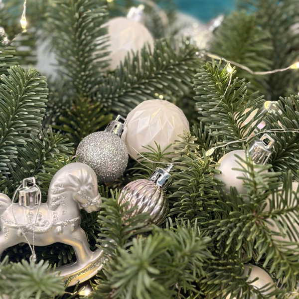 фото Нобилиса и ёлочных игрушкек  "Сияние зимы"