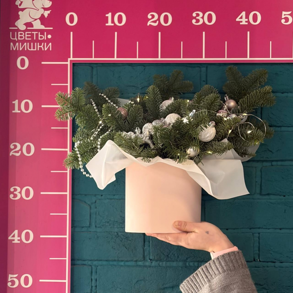 фото Нобилиса и ёлочных игрушкек  "Сияние зимы"