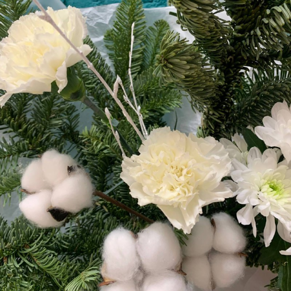 фото Нобилисаи гвоздики "Новогодний вальс"