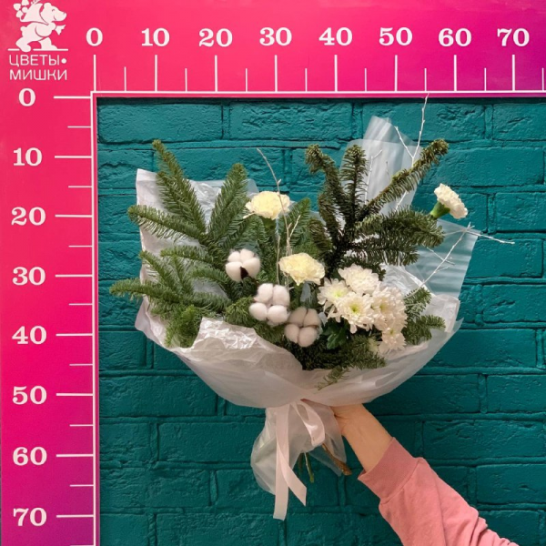 фото Нобилисаи гвоздики "Новогодний вальс"