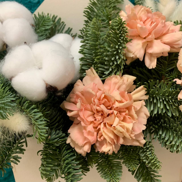 фото Нобилиса и гвоздики "Снежное очарование"