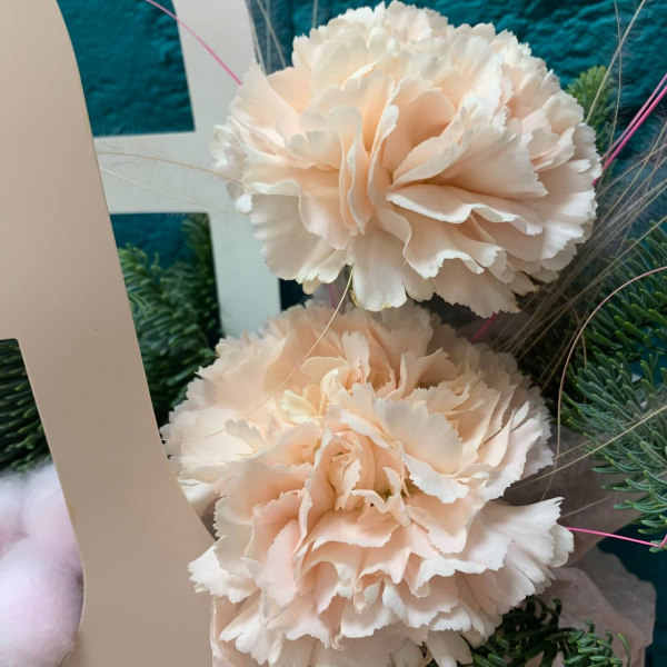 фото Нобилиса и гвоздики "Зимняя фантазия"