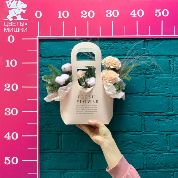 фото Нобилиса и гвоздики "Зимняя фантазия"