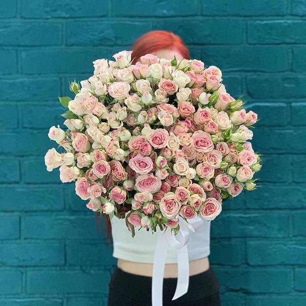 41 кустовая роза "Весенний роман"