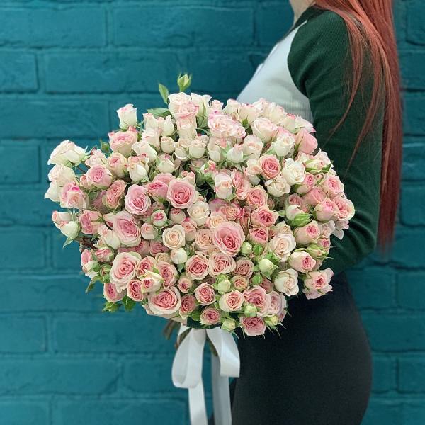 41 кустовая роза "Весенний роман"