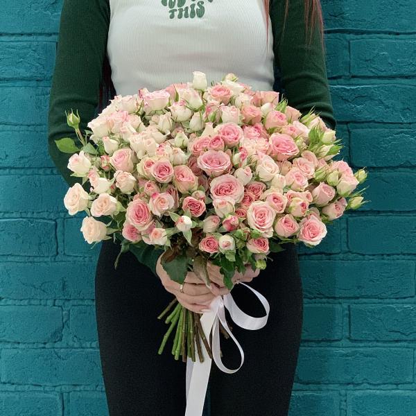 41 кустовая роза "Весенний роман"