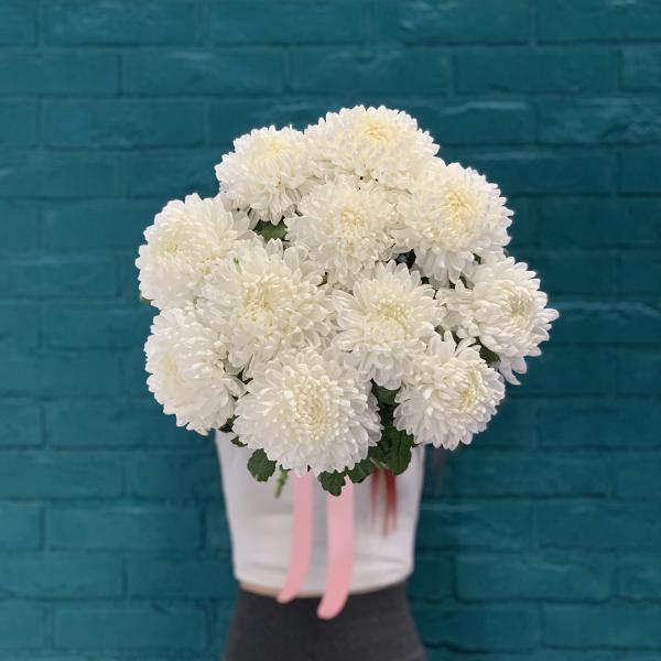 11 хризантем "Пушистые сны"