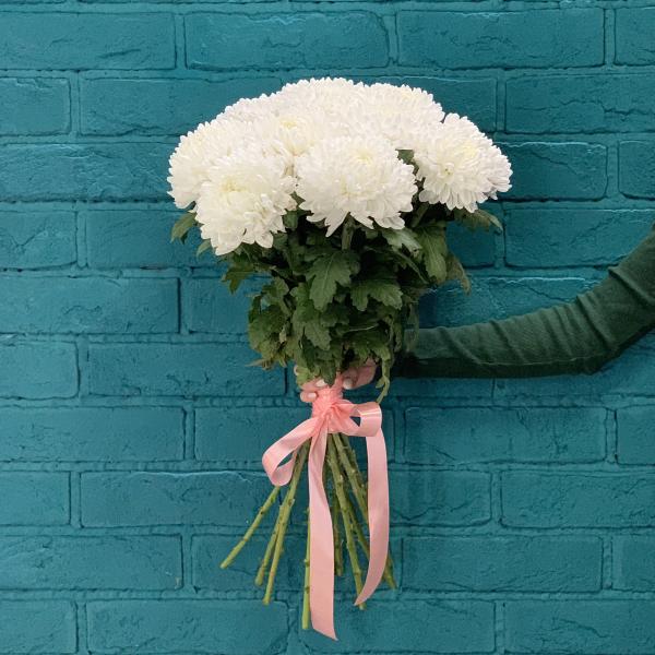 11 хризантем "Пушистые сны"