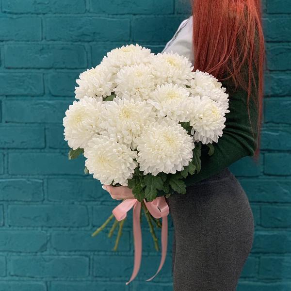 11 хризантем "Пушистые сны"