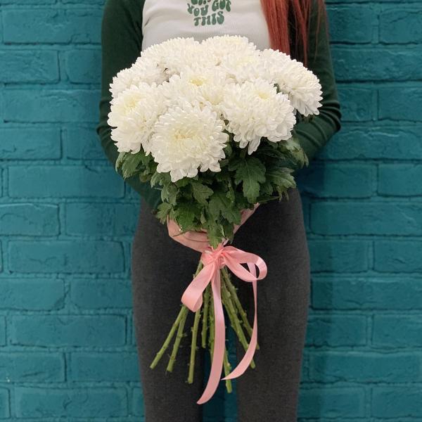 11 хризантем "Пушистые сны"