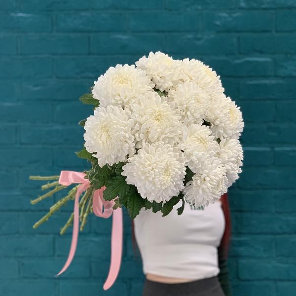 11 хризантем "Пушистые сны"