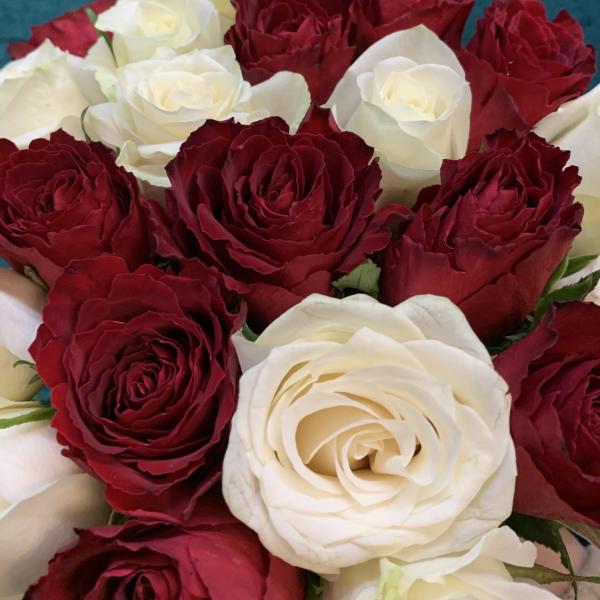 51 роза "Рина"