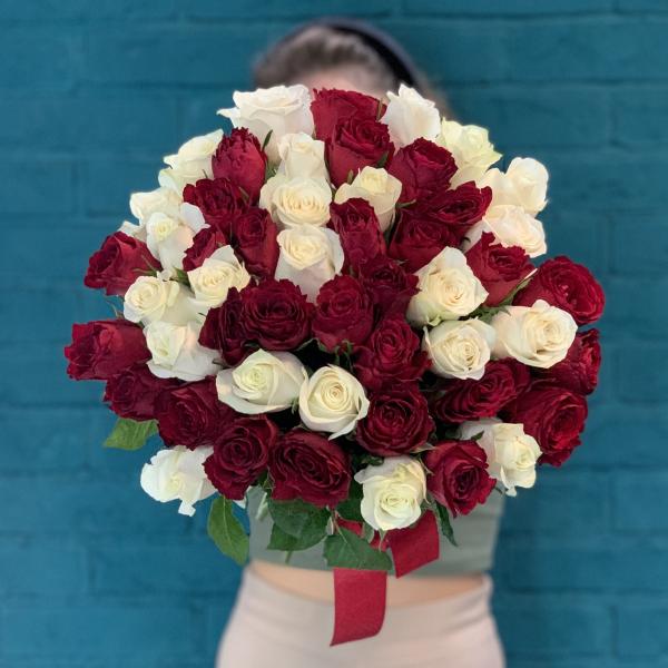 51 роза "Рина"