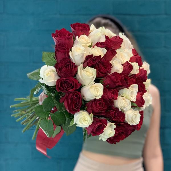 51 роза "Рина"