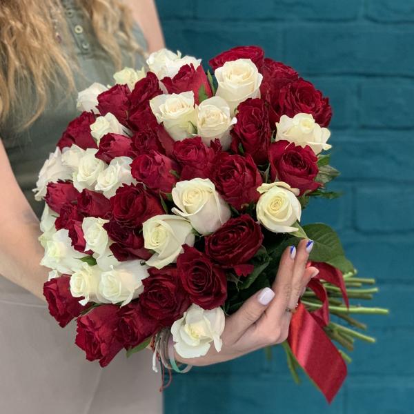 51 роза "Рина"