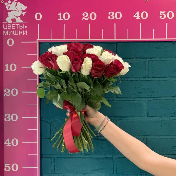 51 роза "Рина"