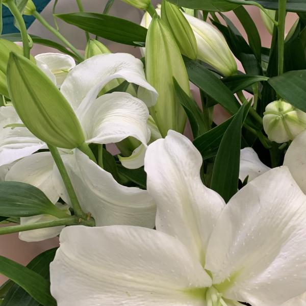 11 лилий " Аромат лета"