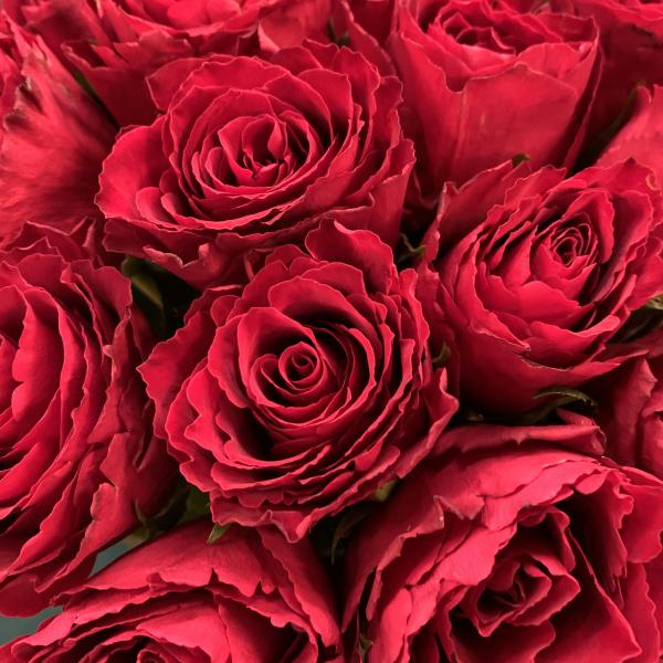 35 красных роз "Токио"