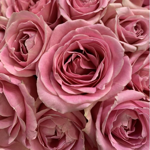 45 розовых роз "Ханой"