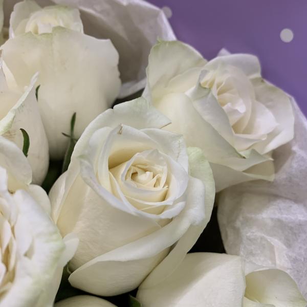 15 белых роз "Летний туман"