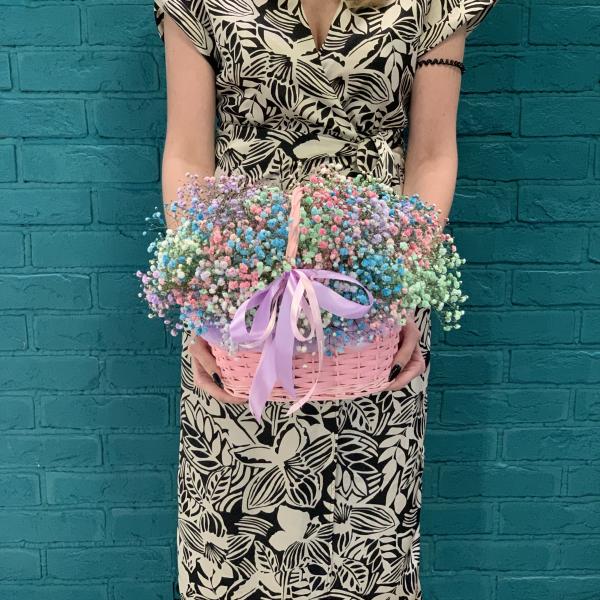 11 гипсофил "Радужное облако"