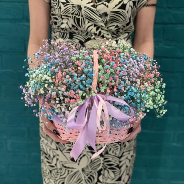 11 гипсофил "Радужное облако"