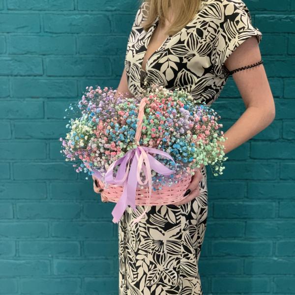 11 гипсофил "Радужное облако"