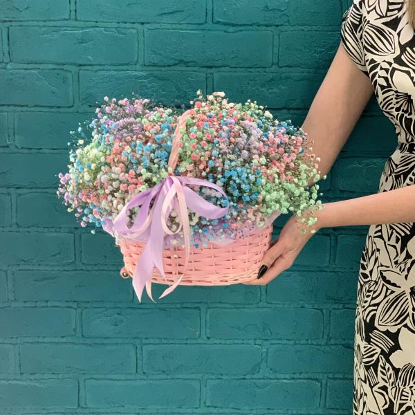 11 гипсофил "Радужное облако"