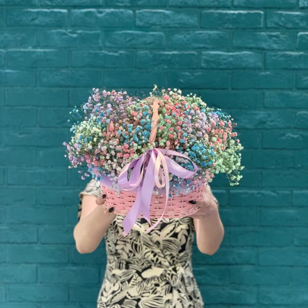 11 гипсофил "Радужное облако"