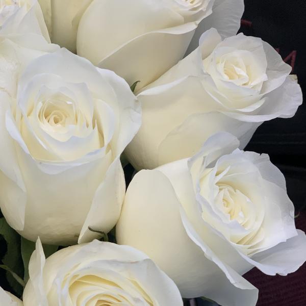 25 белых роз "Снег и мороз"