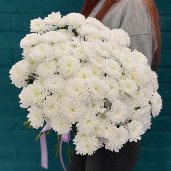 17 хризантем "Любовь на расстоянии"