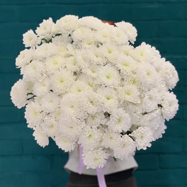 17 хризантем "Любовь на расстоянии"