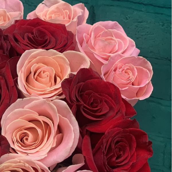 21 роза "Яркая вспышка"