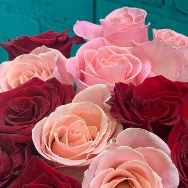 27 роз "Восхищение"