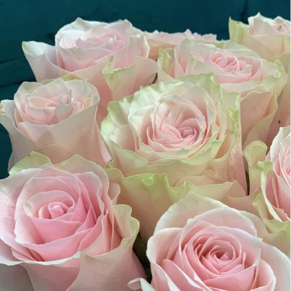 11 роз "Тайное свидание"