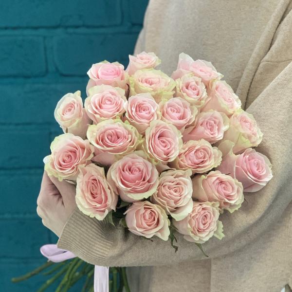 23 розы "Умиротворение" 