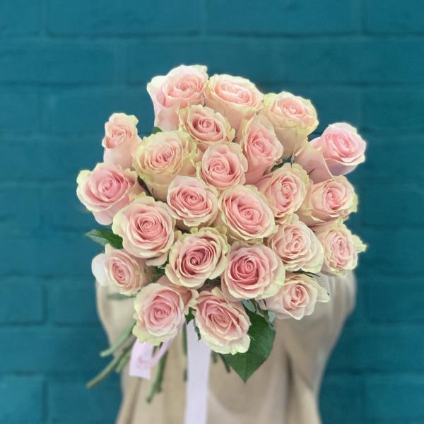 23 розы "Умиротворение" 