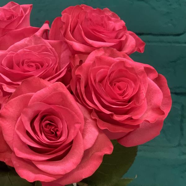 13 малиновых роз "Млечный путь"