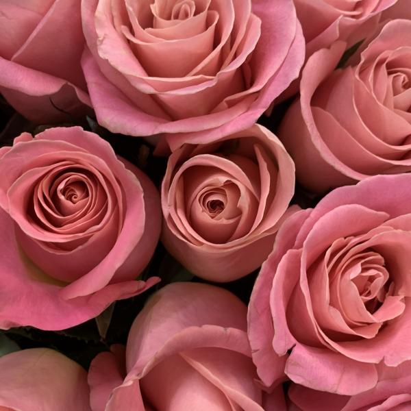 55 розовых роз "розовое безумие"