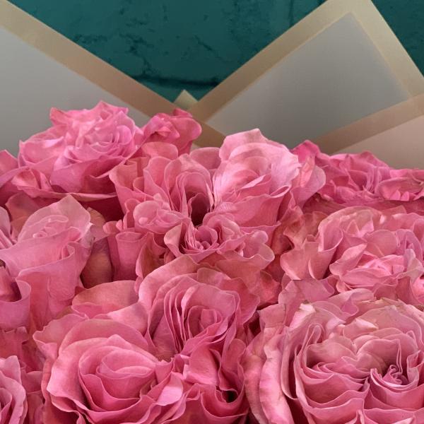 17 пионовидных роз "Нежная гармония"