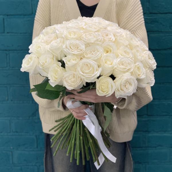 51 белая роза "Вихрь"