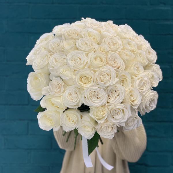 51 белая роза "Вихрь"