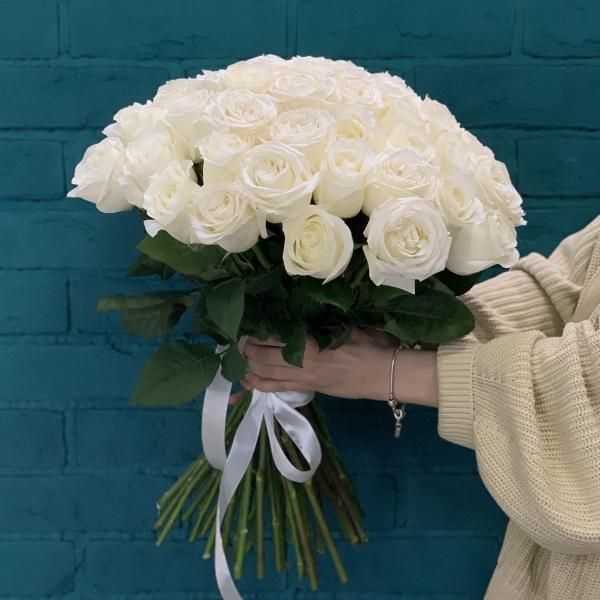 51 белая роза "Вихрь"