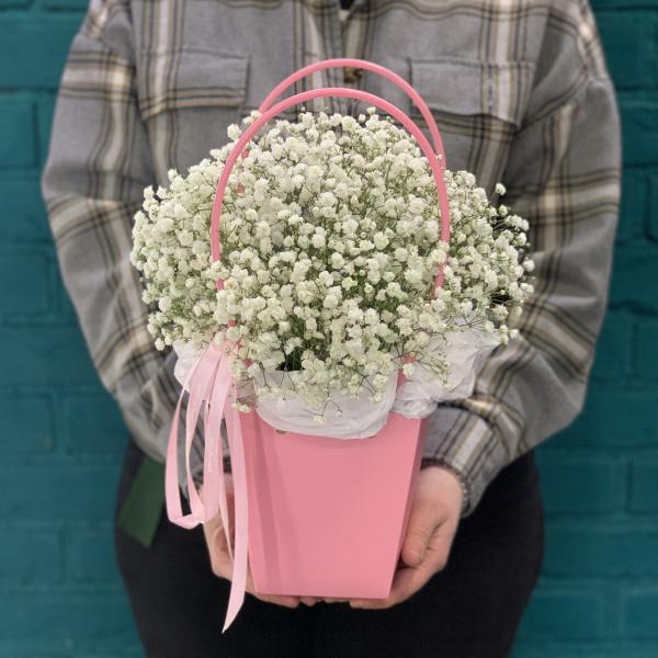  5 гипсофил "Белый танец"